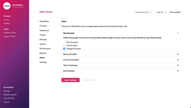 glow, screenshot that shows how you can select which of your teammates are able to login to your client websites and as which users