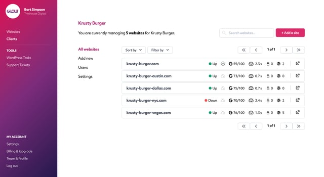 screenshot showing multiple websites that belong to the same client