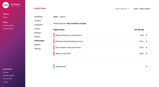 screenshot showing the results of a performance scan for a website