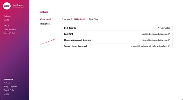 dns and email screen in glow