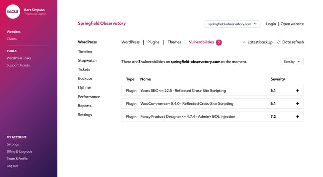 screenshot of wordpress vulnerabilities that exist on a client's website