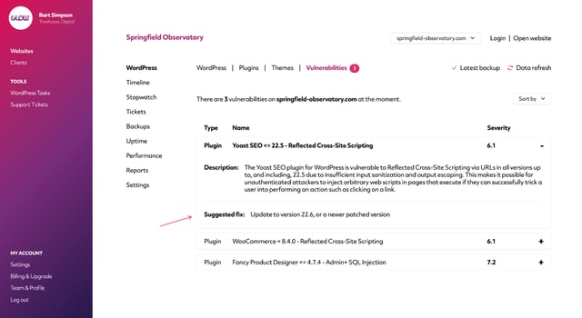 screenshot showing description of a vulnerability