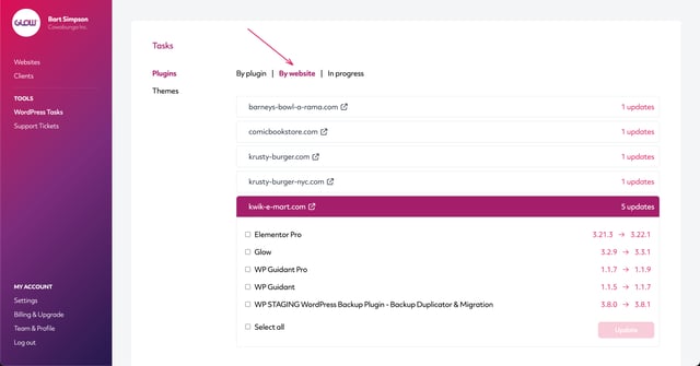 manage multiple wordpress sites with glow - bulk update wordpress plugins - part 5