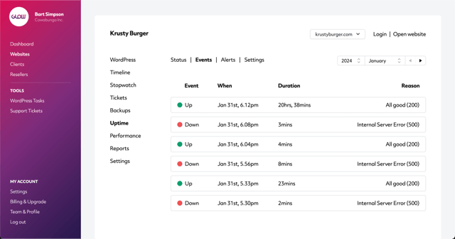 wordpress uptime event data from the glow app, including the reasons for any downtime